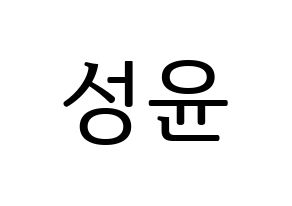 KPOP Golden Child(골든차일드、ゴールデン・チャイルド) Y (Y) プリント用応援ボード型紙、うちわ型紙　韓国語/ハングル文字型紙 通常