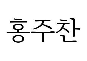 KPOP Golden Child(골든차일드、ゴールデン・チャイルド) 홍주찬 (ジュチャン) 応援ボード・うちわ　韓国語/ハングル文字型紙 通常