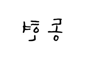 KPOP Golden Child(골든차일드、ゴールデン・チャイルド) 김동현 (ドンヒョン) 応援ボード ハングル 型紙  左右反転