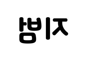 KPOP Golden Child(골든차일드、ゴールデン・チャイルド) 김지범 (ジボム) 応援ボード・うちわ　韓国語/ハングル文字型紙 左右反転