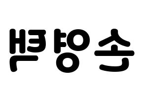 KPOP Golden Child(골든차일드、ゴールデン・チャイルド) TAG (TAG) 応援ボード・うちわ　韓国語/ハングル文字型紙 左右反転