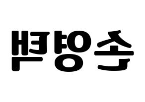 KPOP Golden Child(골든차일드、ゴールデン・チャイルド) TAG (TAG) コンサート用　応援ボード・うちわ　韓国語/ハングル文字型紙 左右反転