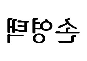 KPOP Golden Child(골든차일드、ゴールデン・チャイルド) TAG (TAG) プリント用応援ボード型紙、うちわ型紙　韓国語/ハングル文字型紙 左右反転
