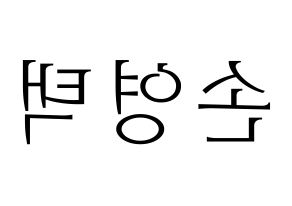 KPOP Golden Child(골든차일드、ゴールデン・チャイルド) TAG (TAG) 応援ボード・うちわ　韓国語/ハングル文字型紙 左右反転