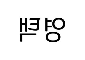 KPOP Golden Child(골든차일드、ゴールデン・チャイルド) TAG (TAG) プリント用応援ボード型紙、うちわ型紙　韓国語/ハングル文字型紙 左右反転