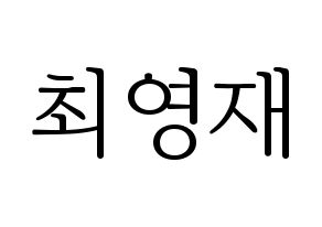 KPOP GOT7(갓세븐、ガットセブン) 영재 (ヨンジェ) 応援ボード・うちわ　韓国語/ハングル文字型紙 通常