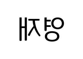 KPOP GOT7(갓세븐、ガットセブン) 영재 (ヨンジェ) プリント用応援ボード型紙、うちわ型紙　韓国語/ハングル文字型紙 左右反転