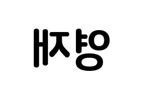 KPOP GOT7(갓세븐、ガットセブン) 영재 (チェ・ヨンジェ, ヨンジェ) k-pop アイドル名前　ボード 言葉 左右反転
