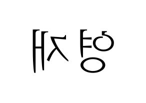 KPOP GOT7(갓세븐、ガットセブン) 영재 (ヨンジェ) 応援ボード・うちわ　韓国語/ハングル文字型紙 左右反転