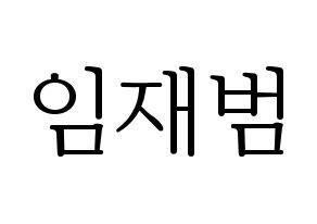 KPOP GOT7(갓세븐、ガットセブン) JB (JB) 応援ボード・うちわ　韓国語/ハングル文字型紙 通常
