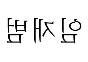 KPOP GOT7(갓세븐、ガットセブン) JB (JB) 応援ボード・うちわ　韓国語/ハングル文字型紙 左右反転