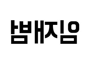 KPOP GOT7(갓세븐、ガットセブン) JB (JB) k-pop アイドル名前 ファンサボード 型紙 左右反転