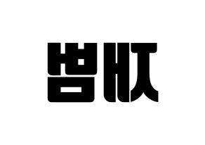 KPOP GOT7(갓세븐、ガットセブン) JB (JB) コンサート用　応援ボード・うちわ　韓国語/ハングル文字型紙 左右反転