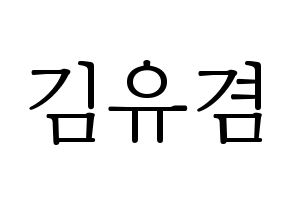 KPOP GOT7(갓세븐、ガットセブン) 유겸  (ユギョム) 応援ボード・うちわ　韓国語/ハングル文字型紙 通常