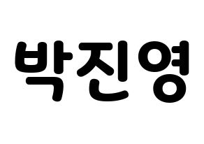 KPOP GOT7(갓세븐、ガットセブン) 진영 (ジニョン) 応援ボード・うちわ　韓国語/ハングル文字型紙 通常