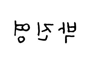 KPOP GOT7(갓세븐、ガットセブン) 진영 (ジニョン) k-pop アイドル名前 ファンサボード 型紙 左右反転
