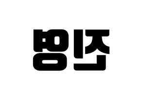 KPOP GOT7(갓세븐、ガットセブン) 진영 (ジニョン) コンサート用　応援ボード・うちわ　韓国語/ハングル文字型紙 左右反転