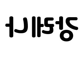KPOP GWSN(공원소녀、公園少女) 레나 (レナ) 応援ボード・うちわ　韓国語/ハングル文字型紙 左右反転