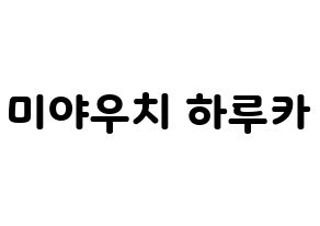 KPOP GWSN(공원소녀、公園少女) 미야 (ミヤ) 応援ボード・うちわ　韓国語/ハングル文字型紙 通常