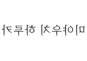 KPOP GWSN(공원소녀、公園少女) 미야 (ミヤ) 応援ボード・うちわ　韓国語/ハングル文字型紙 左右反転