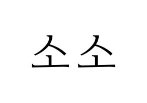 KPOP GWSN(공원소녀、公園少女) 소소 (ソソ) 応援ボード・うちわ　韓国語/ハングル文字型紙 通常