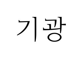 KPOP Highlight(하이라이트、ハイライト) 이기광 (イ・ギグァン) 応援ボード・うちわ　韓国語/ハングル文字型紙 通常