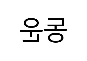 KPOP Highlight(하이라이트、ハイライト) 손동운 (ソン・ドンウン) コンサート用　応援ボード・うちわ　韓国語/ハングル文字型紙 左右反転
