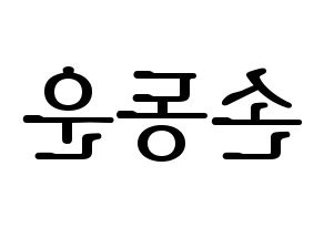 KPOP Highlight(하이라이트、ハイライト) 손동운 (ソン・ドンウン) プリント用応援ボード型紙、うちわ型紙　韓国語/ハングル文字型紙 左右反転