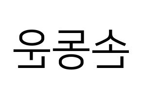 KPOP Highlight(하이라이트、ハイライト) 손동운 (ソン・ドンウン) プリント用応援ボード型紙、うちわ型紙　韓国語/ハングル文字型紙 左右反転