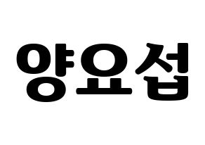 KPOP Highlight(하이라이트、ハイライト) 양요섭 (ヤン・ヨソプ) コンサート用　応援ボード・うちわ　韓国語/ハングル文字型紙 通常