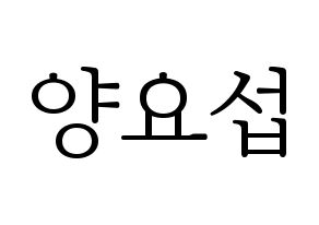 KPOP Highlight(하이라이트、ハイライト) 양요섭 (ヤン・ヨソプ) 応援ボード・うちわ　韓国語/ハングル文字型紙 通常