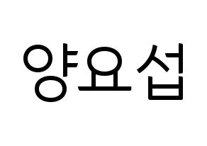 KPOP Highlight(하이라이트、ハイライト) 양요섭 (ヤン・ヨソプ) コンサート用　応援ボード・うちわ　韓国語/ハングル文字型紙 通常