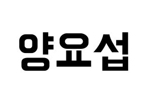 KPOP Highlight(하이라이트、ハイライト) 양요섭 (ヤン・ヨソプ) k-pop アイドル名前 ファンサボード 型紙 通常