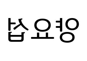 KPOP Highlight(하이라이트、ハイライト) 양요섭 (ヤン・ヨソプ) プリント用応援ボード型紙、うちわ型紙　韓国語/ハングル文字型紙 左右反転