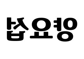KPOP Highlight(하이라이트、ハイライト) 양요섭 (ヤン・ヨソプ) コンサート用　応援ボード・うちわ　韓国語/ハングル文字型紙 左右反転