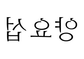 KPOP Highlight(하이라이트、ハイライト) 양요섭 (ヤン・ヨソプ) 応援ボード・うちわ　韓国語/ハングル文字型紙 左右反転