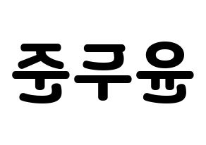 KPOP Highlight(하이라이트、ハイライト) 윤두준 (ユン・ドゥジュン) 応援ボード・うちわ　韓国語/ハングル文字型紙 左右反転