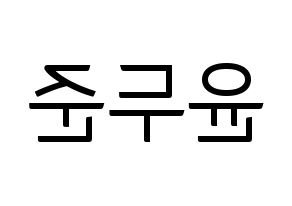 KPOP Highlight(하이라이트、ハイライト) 윤두준 (ユン・ドゥジュン) コンサート用　応援ボード・うちわ　韓国語/ハングル文字型紙 左右反転