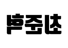 KPOP HOTSHOT(핫샷、ホットショット) 준혁 (ジュンヒョク) コンサート用　応援ボード・うちわ　韓国語/ハングル文字型紙 左右反転