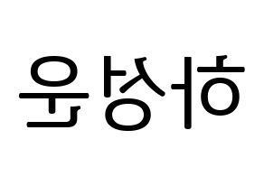 KPOP HOTSHOT(핫샷、ホットショット) 성운 (ソンウン) プリント用応援ボード型紙、うちわ型紙　韓国語/ハングル文字型紙 左右反転