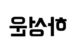 KPOP HOTSHOT(핫샷、ホットショット) 성운 (ソンウン) k-pop アイドル名前 ファンサボード 型紙 左右反転