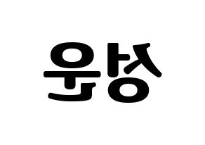 KPOP HOTSHOT(핫샷、ホットショット) 성운 (ソンウン) コンサート用　応援ボード・うちわ　韓国語/ハングル文字型紙 左右反転