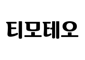 KPOP HOTSHOT(핫샷、ホットショット) 티모테오 (ティモテオ) コンサート用　応援ボード・うちわ　韓国語/ハングル文字型紙 通常