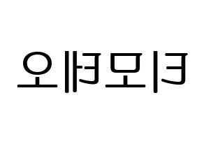 KPOP HOTSHOT(핫샷、ホットショット) 티모테오 (ティモテオ) プリント用応援ボード型紙、うちわ型紙　韓国語/ハングル文字型紙 左右反転