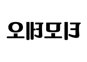 KPOP HOTSHOT(핫샷、ホットショット) 티모테오 (ティモテオ) コンサート用　応援ボード・うちわ　韓国語/ハングル文字型紙 左右反転