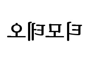 KPOP HOTSHOT(핫샷、ホットショット) 티모테오 (ティモテオ) プリント用応援ボード型紙、うちわ型紙　韓国語/ハングル文字型紙 左右反転