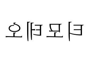 KPOP HOTSHOT(핫샷、ホットショット) 티모테오 (ティモテオ) 応援ボード・うちわ　韓国語/ハングル文字型紙 左右反転