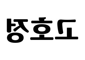 KPOP HOTSHOT(핫샷、ホットショット) 호정 (ホジョン) コンサート用　応援ボード・うちわ　韓国語/ハングル文字型紙 左右反転