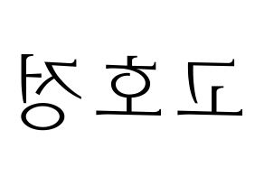 KPOP HOTSHOT(핫샷、ホットショット) 호정 (ホジョン) 応援ボード・うちわ　韓国語/ハングル文字型紙 左右反転
