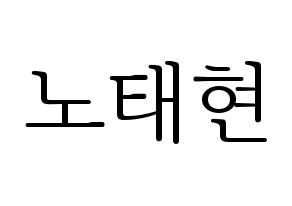 KPOP HOTSHOT(핫샷、ホットショット) 태현 (KID MONSTER) 応援ボード・うちわ　韓国語/ハングル文字型紙 通常